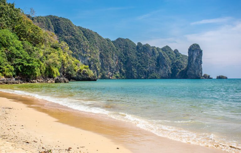 green trees on brown sand beach during daytime